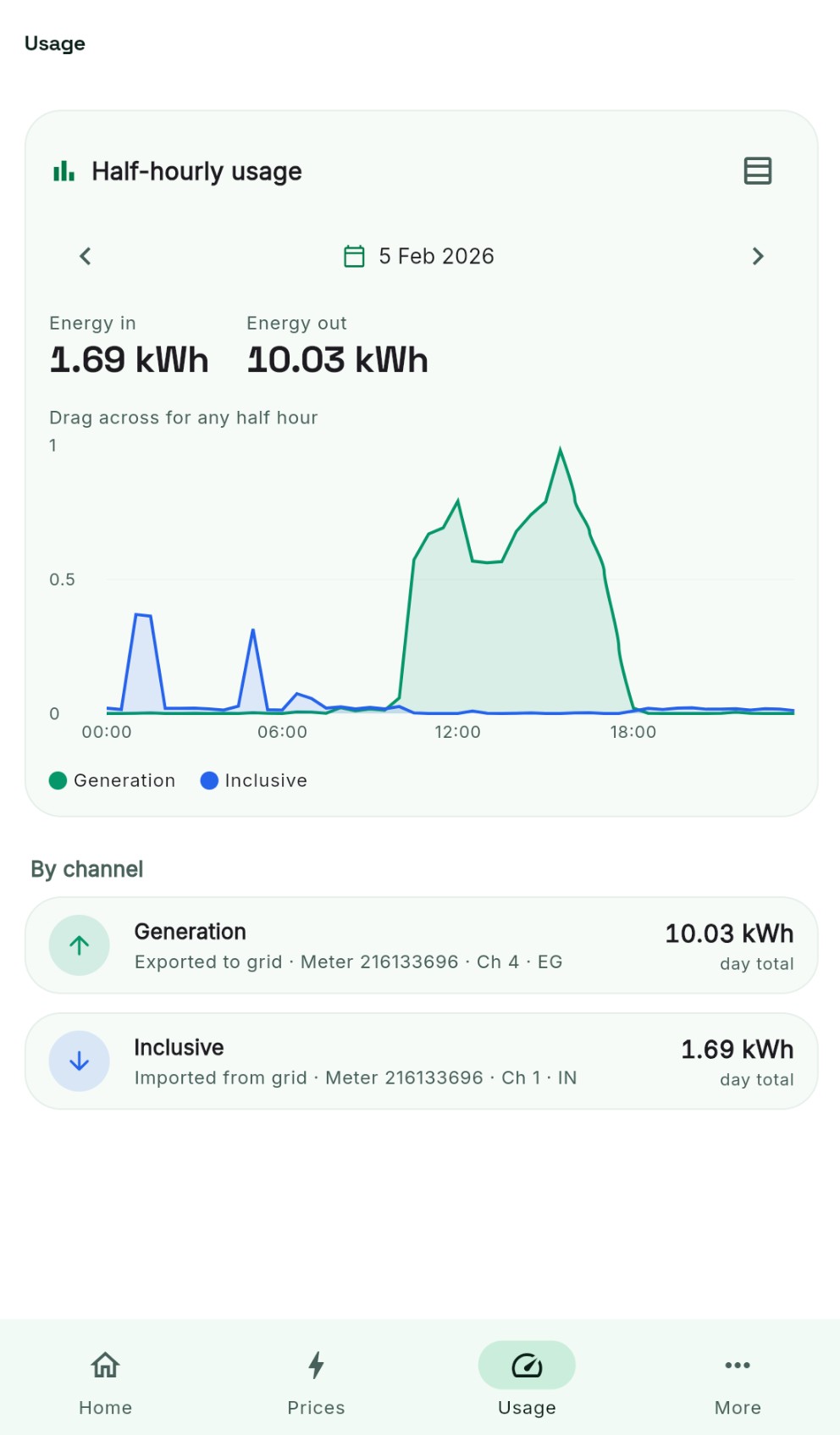 Ecosmart app usage screen in light mode: half-hourly energy in and out for a day, with solar generation exported to the grid charted against power imported, and per-meter-channel day totals